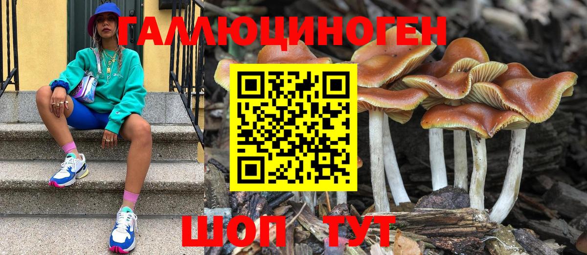 Галлюциногенные грибы ЛСД Кизляр