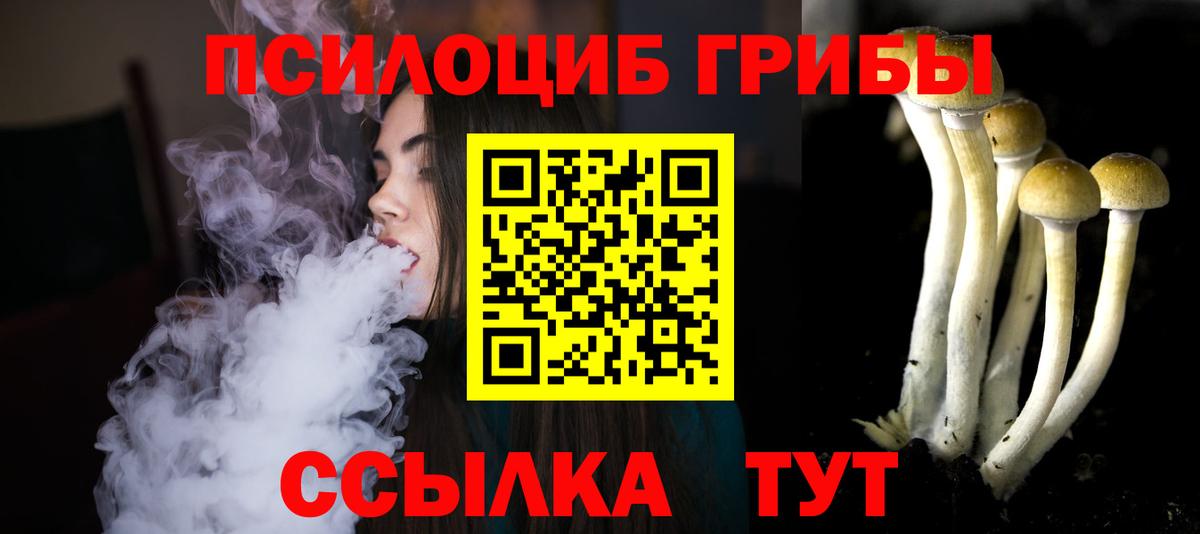 Галлюциногенные грибы MAGIC MUSHROOMS  Вход с VPN  Кизляр  Псилоцибиновые грибы Cubensis 
